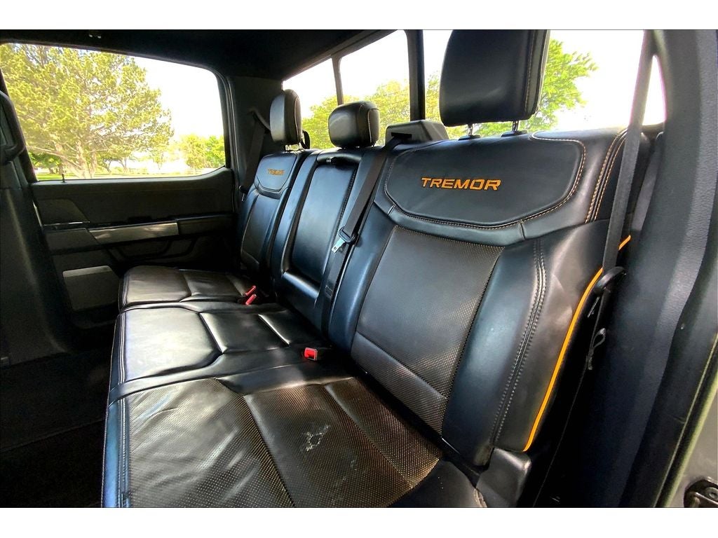 2021 Ford F-150 Tremor