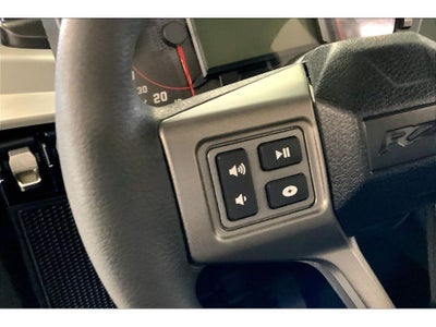 2022 Polaris RZR Base