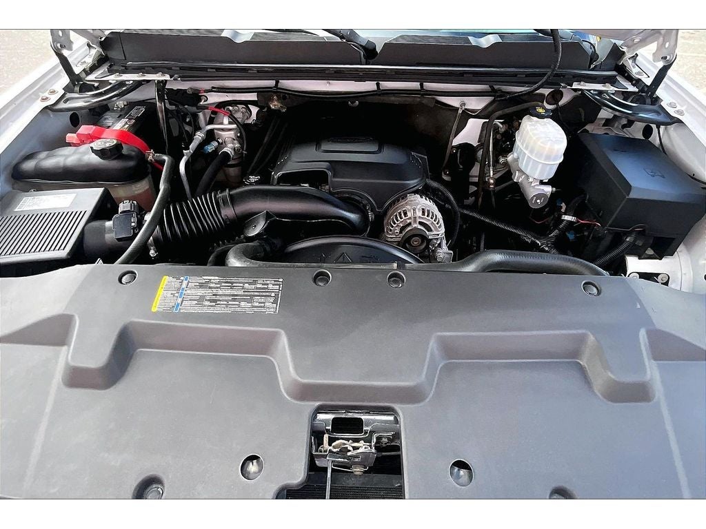 2009 Chevrolet Silverado Work Truck